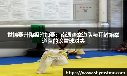 世锦赛升降级附加赛：南通跆拳道队与开封跆拳道队的滚雪球对决