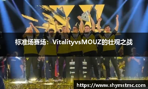 标准场赛场：VitalityvsMOUZ的壮观之战